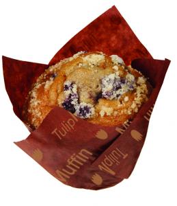 Blueberry Muffin